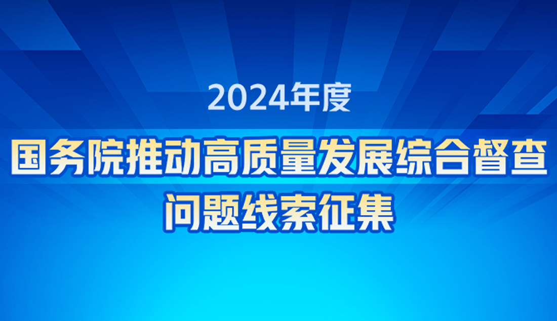 2024年度國(guó)務(wù)院推動(dòng)高質(zhì)量發(fā)展綜合督查問(wèn)題...