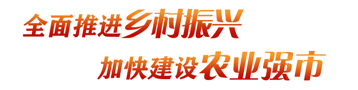 全面推進鄉(xiāng)村振興 加快建設(shè)農(nóng)業(yè)強市