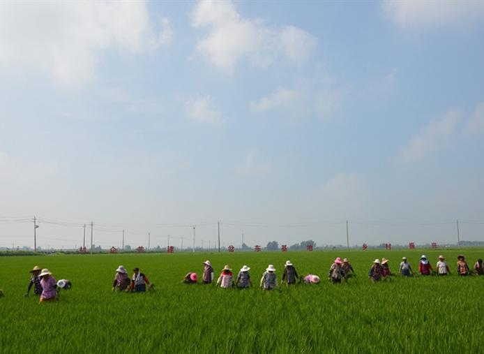 岔河鎮(zhèn)：白馬湖.jpg